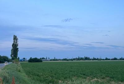 Teren de 7500 mp, în Albești-Paleologu - 1