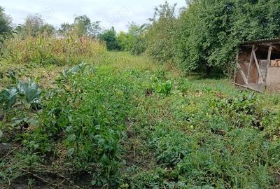 Casă cu 5 camere cu Teren 1000 Mp în Balda - 1