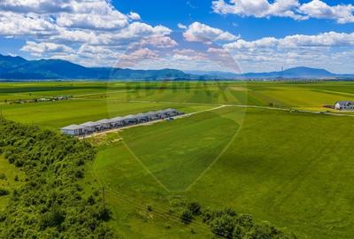 Teren Construcții intravilan de 8600 mp, în Tărlungeni - 11