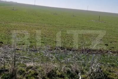 Teren de 1500 mp, în Central - 1