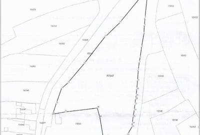 Teren de 7700 mp, în Voila - 1