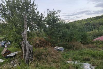 Casă cu 2 camere în Central