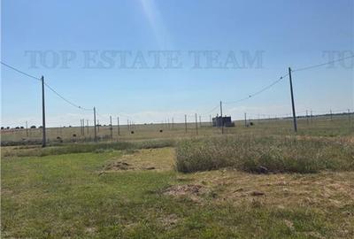 Teren Construcții intravilan de 1000 mp, în 23 August - 6