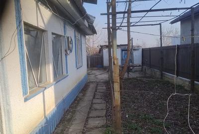 Casă cu 3 camere cu Teren 1168 Mp în Bivolari - 9