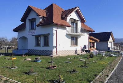 Casă cu Teren 2400 Mp în Vărădia de Mureș - 6