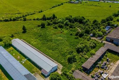 Teren de 9335 mp, în Teliu - 1