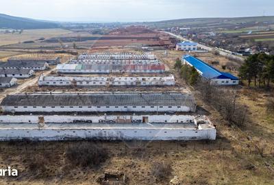 Teren de 39600 mp, în Traian - 1