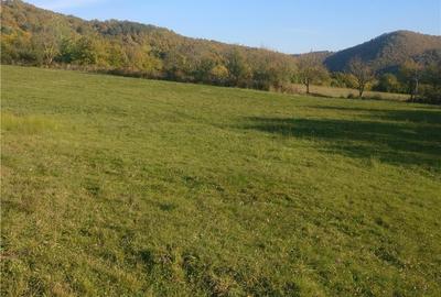 Teren de 4214 mp, în Remecioara - 1