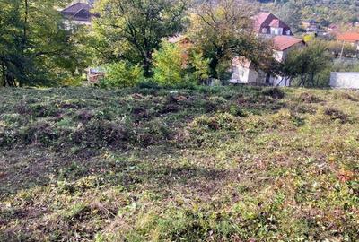 Teren de 1159 mp, în Vlădești
