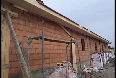 Casă cu Teren 2656 Mp în Cenei
