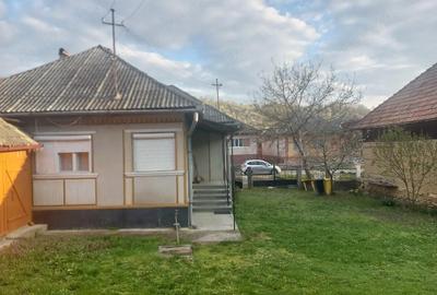 Casă cu 3 camere cu Teren 2000 Mp în Curtuiușu Mare - 2