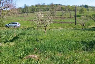 Teren de 1500 mp, în Vorța - 3