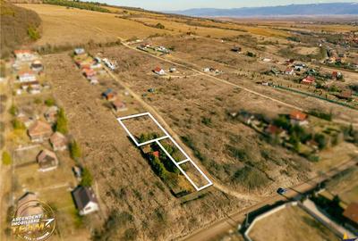 Teren de 1374 mp, în Moacșa - 3