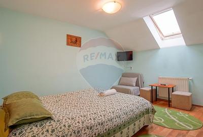 Casă individuală cu 11 camere cu Teren 789 Mp în Florilor - 28