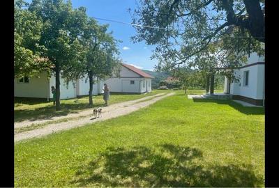 Casă cu 4 camere cu Teren 500 Mp în Remecioara - 4