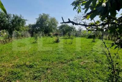 Casă cu 2 camere cu Teren 1600 Mp în Uriu