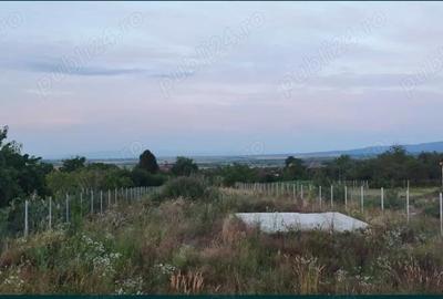Casă cu 3 camere în Viile Satu Mare - 1