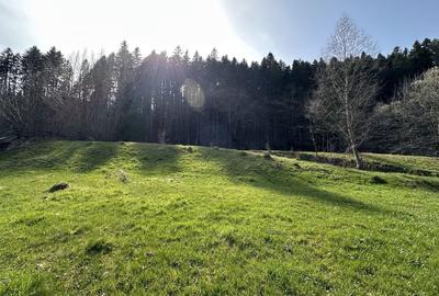 Teren de 6888 mp, în Putna - 5