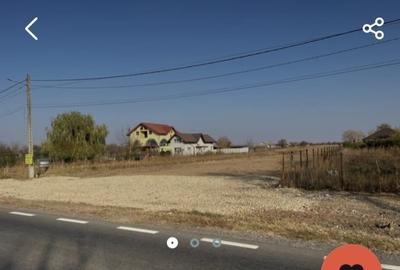 Teren de 5000 mp, în Lucianca - 3