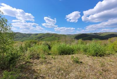 Teren de 70000 mp, în Șerani - 3