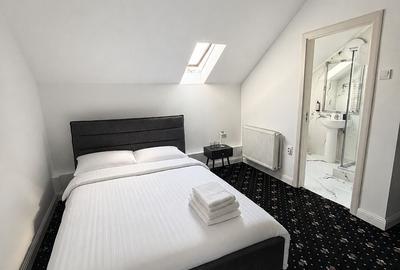 Hotel/Pensiune, de 20 mp, în Grigorescu - 3