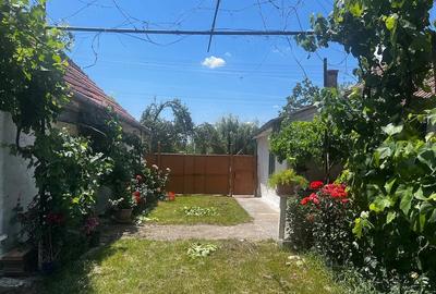 Casă cu Teren 2900 Mp în Jamu Mare