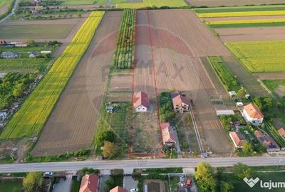 Casă cu 5 camere cu Teren 10400 Mp în Botiz - 3