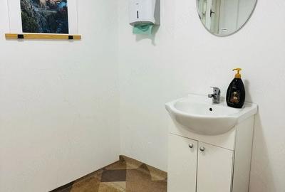 Garsonieră decomandată în Elisabetin - 4