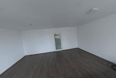 Spațiu comercial, de 33 mp, în Independenței - 2