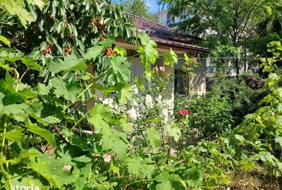 Casă cu 7 camere cu Teren 843 Mp în Central - 5
