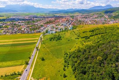 Teren agricol extravilan de 24911 mp, în Nord - 2