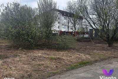 Spațiu comercial, în Turnișor - 4