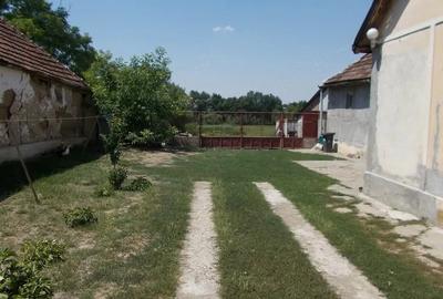 Casă cu 3 camere cu Teren 1906 Mp în Exterior Vest