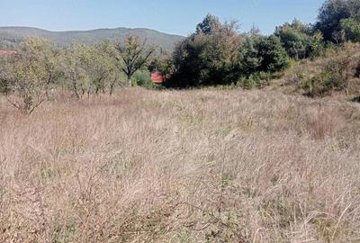Teren de 500 mp, în Moigrad-Porolissum - 10
