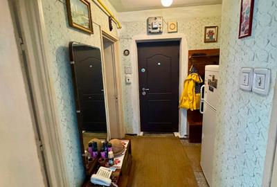 Apartament cu 4 camere decomandat în Podu Roș - 14