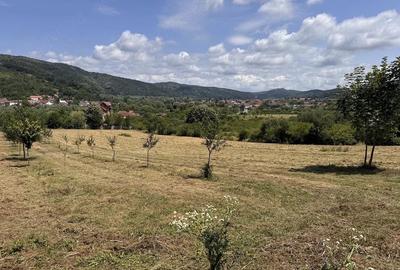 Teren de 4000 mp, în Central