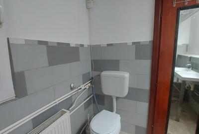 Apartament cu 2 camere semidecomandat în Tineretului - 10