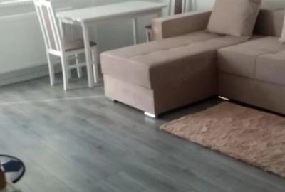 Garsonieră decomandată în Cerătu de Copăcioasa - 9