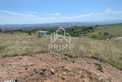 Spațiu comercial, în Central