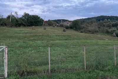Teren de 4500 mp, în Cetățeni