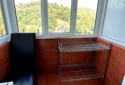 Apartament cu 2 camere decomandat în Grigorescu
