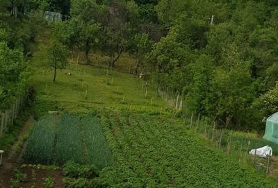 Casă cu 4 camere în Valea - 1