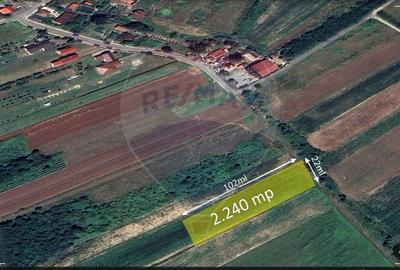 Teren Construcții intravilan de 2240 mp, în Lăpușel - 2