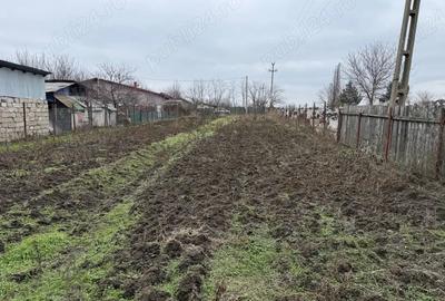 Teren de 1000 mp, în Pădurișu - 3