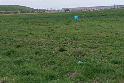 Teren agricol intravilan de 35000 mp, în Șag - 6