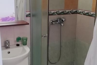 Garsonieră în Grigorescu - 4