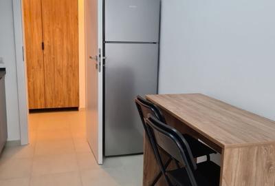 Apartament cu 3 camere decomandat, mobilat în Viilor - 16