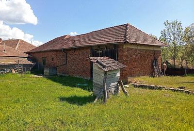 Casă cu Teren 11300 Mp în Dumbrăvița - 5