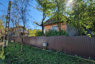 Casă individuală cu 2 camere cu Teren 1000 Mp în Ulieș - 11
