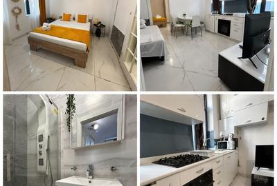 Apartament cu 2 camere în Parcul Carol